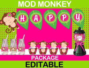 Mod Monkey Girl party