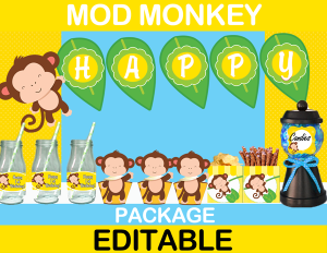 first birthday Mod Monkey