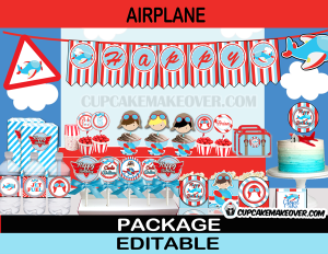 aviator boy planes party package