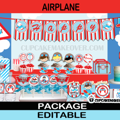 aviator boy planes party package