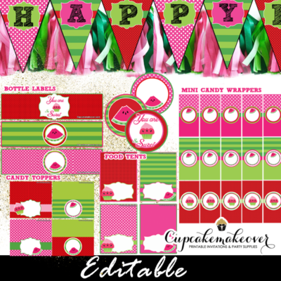 watermelon birthday supplies one in a melon party ideas pink green summer first