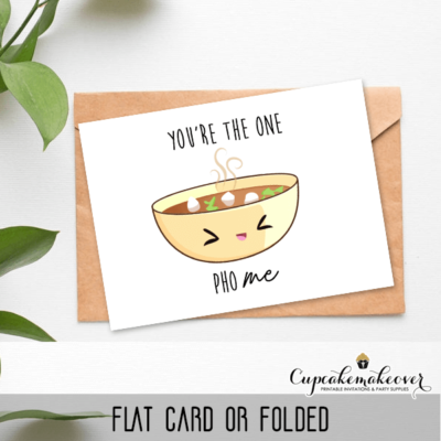 fun valentine cards you are the one pho me